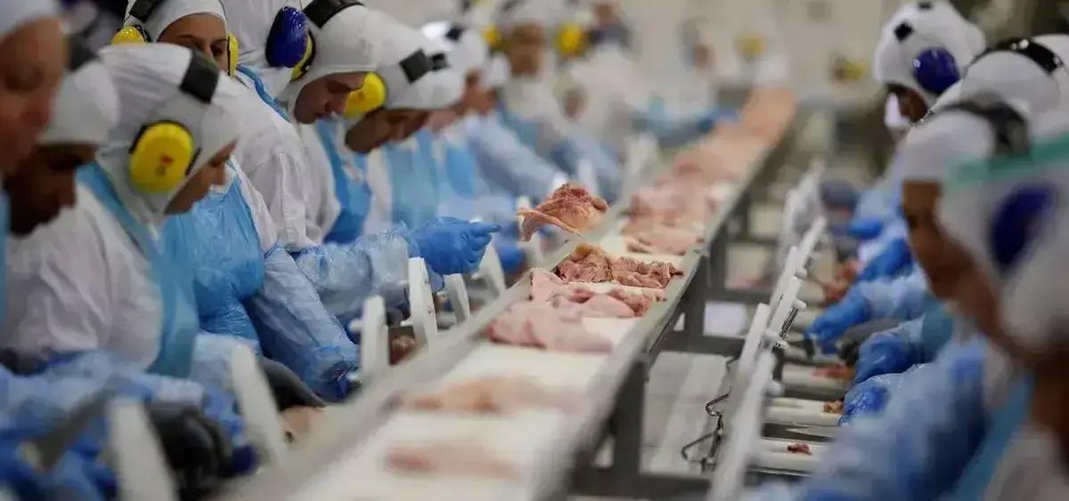 🌍 Sete Países Revogam Restrições à Carne de Aves do Brasil Após Controle de Surto: Impacto Positivo no Comércio Exterior e na Economia 1 Sete países revogam restrições à carne de aves do Brasil após controle de surto